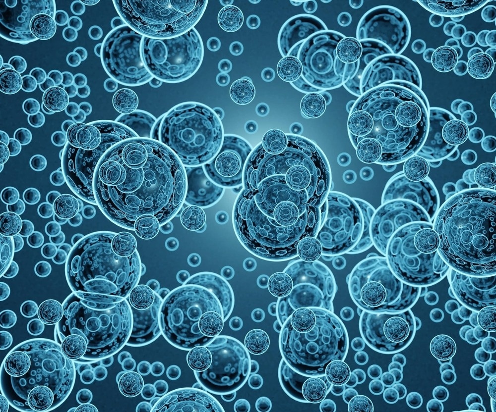 Probing Properties of Nanobubbles in 2D Semiconductors