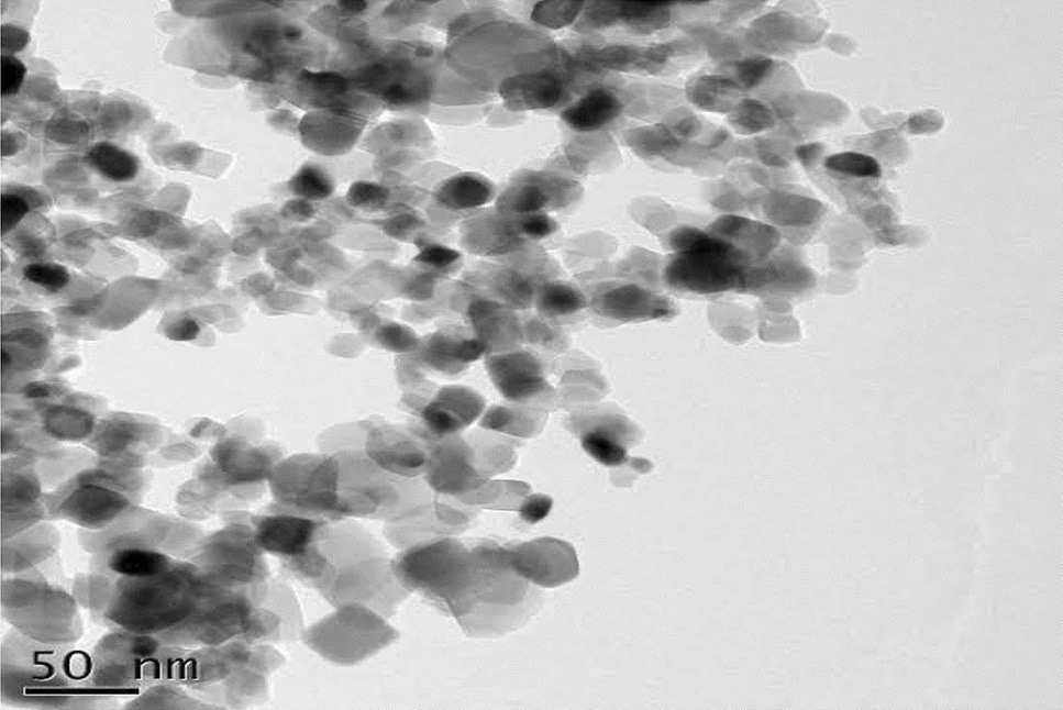 TEM analysis of TiO2 nanoparticles biosynthesized from Carica papaya shell extracts.