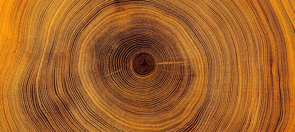 Halloysite Nanotubes Grown in ‘Tree Rings’ via Easy Method