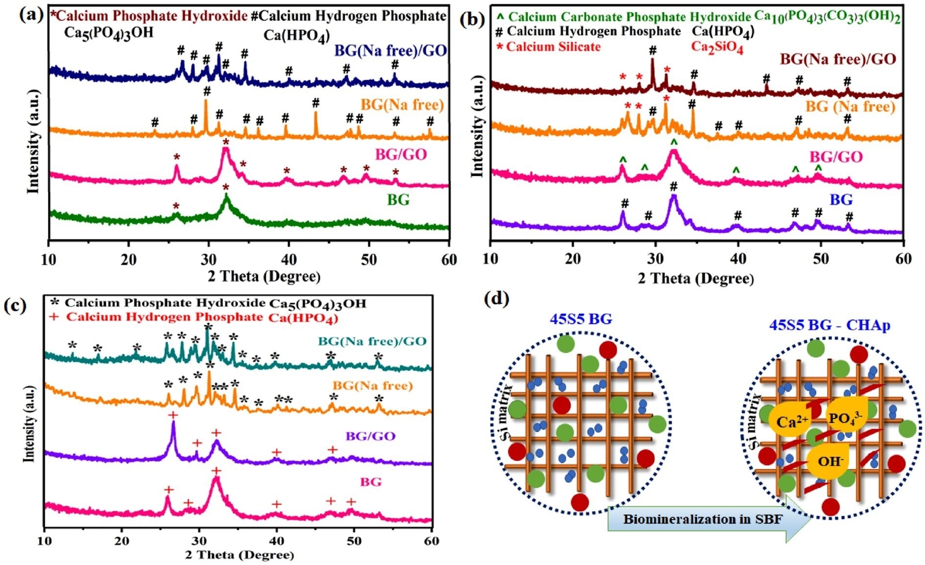 XRD patterns for BG, BG (Na-free), GO and BG/GO, BG (Na-free)/GO nanocomposites after mineralization; (a) 1st day, (b) 14th day, (c) 28th day, and (d) illustration of ion-exchanged CHAp formation.