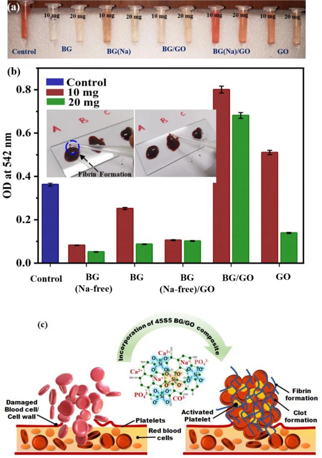 Hemoclot Assay of BG, BG (Na-free), GO and BG/GO, BG (Na-free)/GO nanocomposites; (a) photographs of supernatant collected, (b) optical density (O.D.) representation of hemoclot for 10 and 20 mg samples, and photographs of a blood clot with fibrin formation (inset), (c) schematic representation of hemostatic behavior of 45S5 BG-GO Nanocomposite.