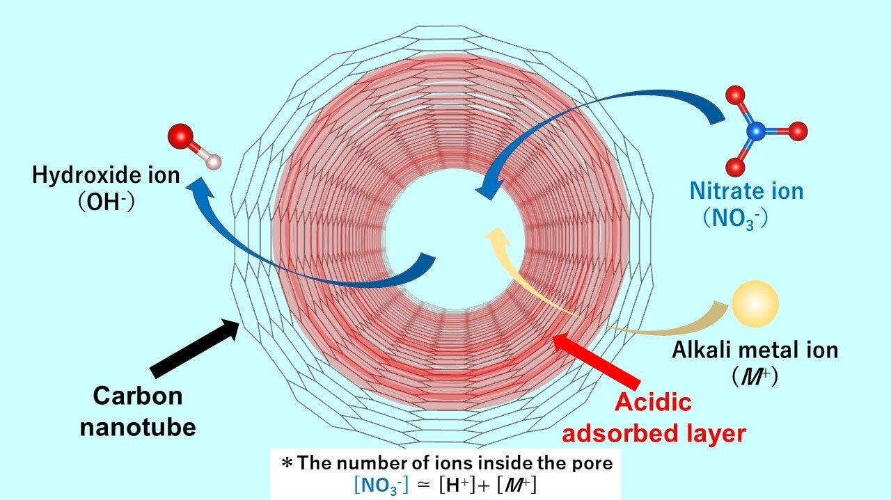 Acidic Layer in Single-Walled Carbon Nanotubes Facilitates Confinement of Anion Impurities