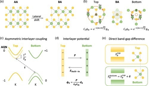Schematic of asymmetric interlayer coupling in the 3R-MoS2 bilayer. (a) Side view of atomic structures of the 3R-MoS2 bilayer with AA (left) and BA (right) stacking configurations, where the yellow and green spheres denote the S and Mo atoms, respectively. (b) Schematic of the phase winding at K points in monolayer MoS2 when the C3 rotational center is located at a Mo site (left) and the hollow center of the hexagon formed by Mo and S (right). The middle is the top view of the atomic structure of the 3R-MoS2 bilayer with BA stacking configuration. The small, dashed orange circle denotes the C3 rotational center. (c) Electronic band structure at K points of a 3R-MoS2 bilayer with BA stacking configuration. Yellow (green) dashed lines denote the original uncoupled bands. Yellow (green) solid lines denote the bands of the top (bottom) MoS2 layer. Numbers denote the overall azimuthal quantum number (AQN) of the conduction or valence band edge at K points. Interlayer coupling t exists only between the conduction band of the top layer and the valence band of the bottom layer, resulting in a level repulsion t2/Eg between these two bands, where Eg is the direct band gap of MoS2. (d) Schematic of spontaneous out-of-plane polarization P pointing from the top layer (yellow) to the bottom layer (green) in a 3R-MoS2 bilayer with BA stacking configuration. (e) Schematic of direct band gap at the K point of the top (yellow) and bottom (green) layer in a 3R-MoS2 bilayer with BA stacking configuration. The atomic structure shows the nonequivalent environments of the Mo atom in the top and bottom MoS2 layers.