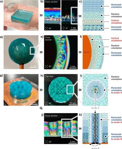 (a) Multilayered CNF hydrogel. (b) Cross-section of the multilayered CNF hydrogel observed through a cross-polarizer. (c) By controlling the applied voltage, CNFs were deposited in the order horizontal, vertical, random, and horizontal with respect to the anode. (d) Cartilage-like CNF hydrogel formed around a spherical electrode. (e) Cross-section observed through a cross-polarizer. (f) Corresponding schematic diagram. (g) Plant-stem-like CNF hydrogel prepared by combining wire and flat electrodes. (h, j) Corresponding cross-section. (i, k) Corresponding schematic diagram.