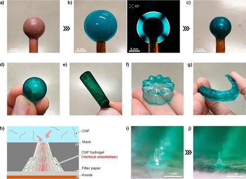 (a) Three-dimensional electrode, (b) horizontally oriented CNF hydrogel fixed on its surface, and (c, d) molded CNF film after drying the CNF hydrogel. Similarly obtained (e) cylindrical, (f) flower-like, and (g) mouthpiece-shaped molded CNF films. (h) Combining mask patterning, porous substrates, and vertically oriented CNFs. (i) CNF hydrogels with sharp structures fixed on porous substrates. (j) CNF microneedles after drying.