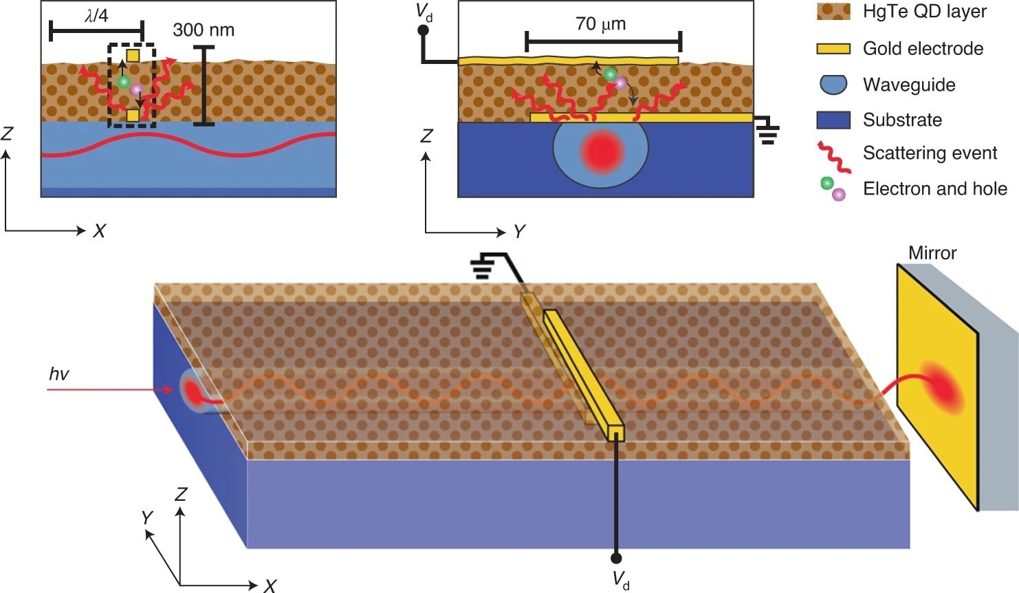 Schematic of a waveguide spectrometer (not to scale).