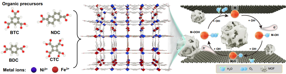 2D Nanoconfinement Approch Improves Oxygen Evolution Activities
