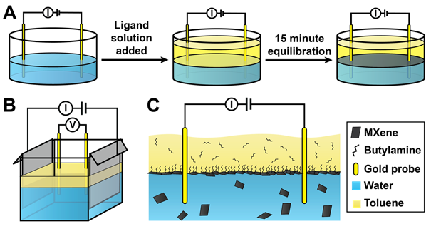 Schematic of electrical measurements at a biphasic interface. In the 2-probe configuration (A), the organic ligand solution (yellow) is gently layered over the aqueous MXene dispersion (blue). After a short time, an interfacial film is self-assembled around the probes allowing electrical percolation through the film. In the 4-probe configuration (B), parallel plates are used to create a uniform flow of current that can be detected by the central voltage probes, allowing a determination of sheet conductance. A schematic (C) provides an idealized depiction of the initial experimental set up. Liquid toluene (yellow) containing butylamine ligands is deposited over water (blue) containing MXene nanoparticles. The conductive MXenes self-assemble at the interface and form a jammed, electrically-conductive sheet. The electrical properties are probed via gold electrodes that pierce the sheet. Due to the miscibility of butylamine in water, it is expected that some butylamine will diffuse into the aqueous phase over time, but we see no evidence that this affects the relatively robust structural or electrical properties of the jammed conducting sheet.