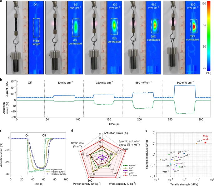 Rapid photothermal actuation of G-LCFs