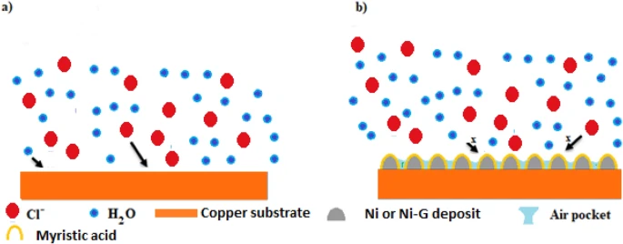 Schematic representation of the suggested mechanism for corrosion protection of the prepared SHP films.