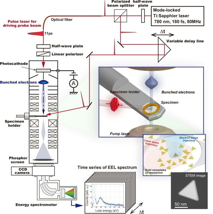 scanning electron microscope block diagram