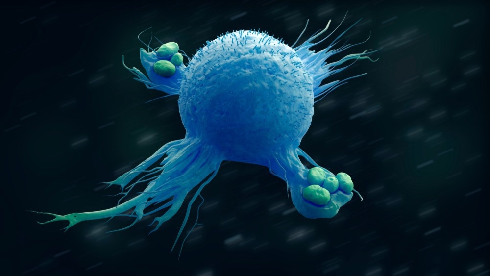 Porous Nanoparticles Could Deliver Hydrophobic Drugs to Macrophages
