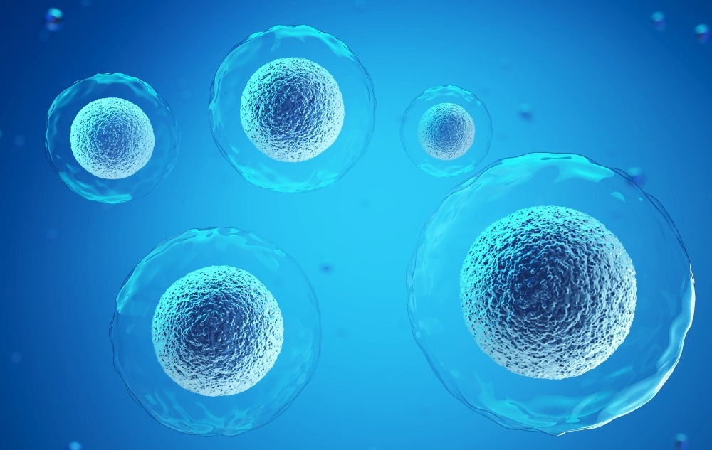 Using Nanofibers to Guide the Development of Novel Biomaterials