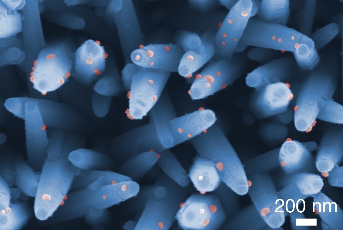 Nanowire Assay Detects Brain Tumor Biomarkers in Urine