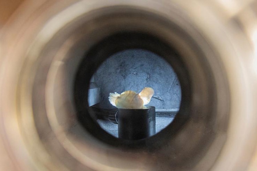 Exploring Thermal Limits of Advanced Nanomaterials