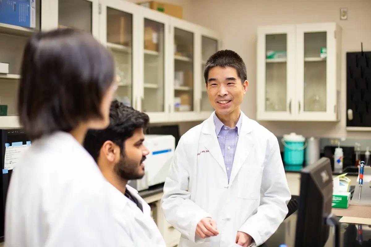 Influence of Nanoparticles on Patients With Corneal Transplants