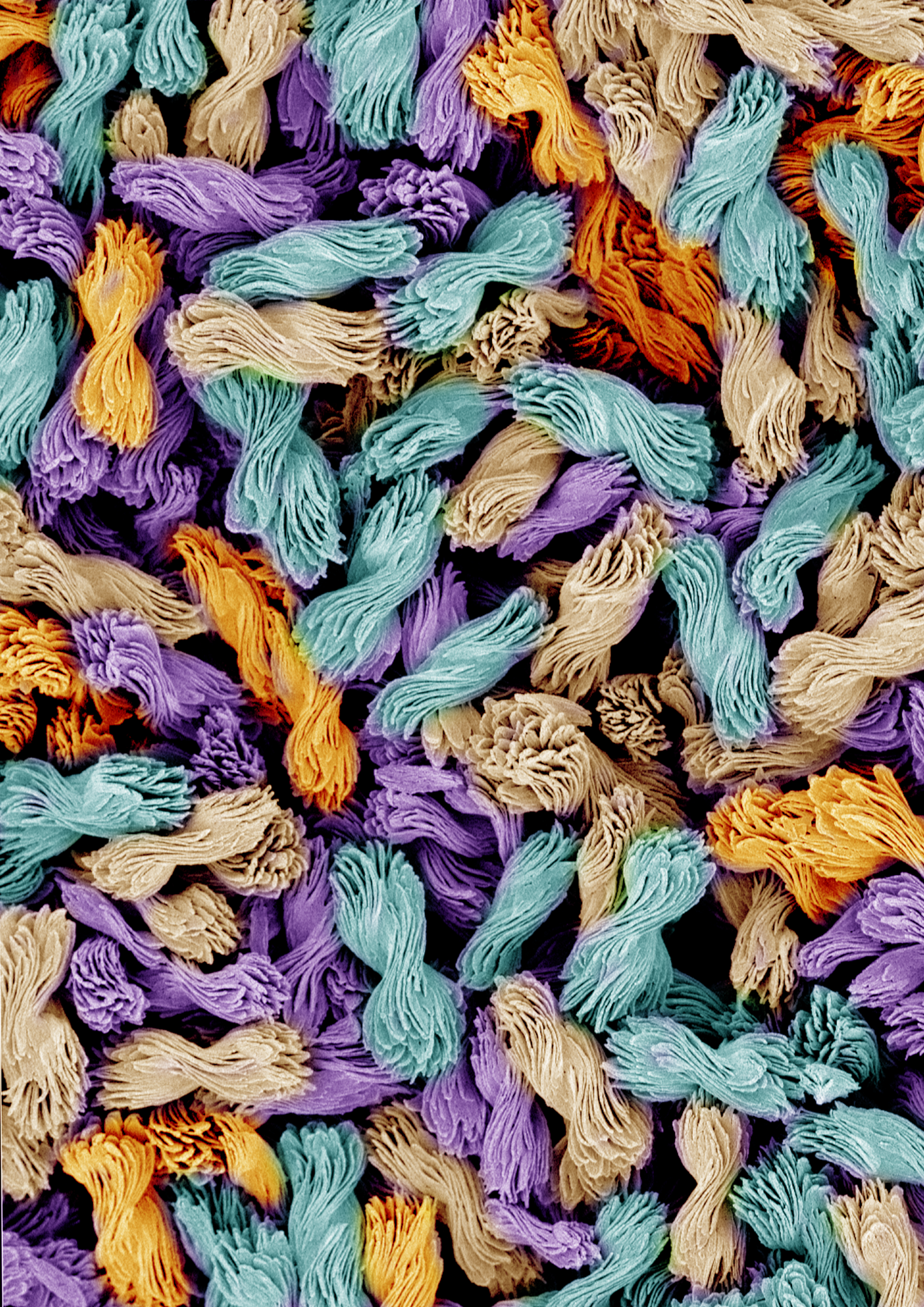 Controlling How Nanostructures Twist For the First Time