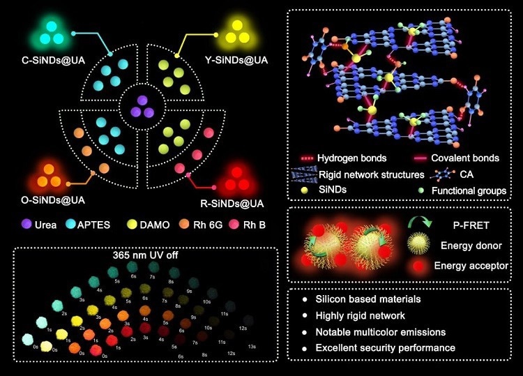 Schematic illustration for the preparations of C-SiNDs@UA, Y-SiNDs@UA, O-SiNDs@UA, and R-SiNDs@UA.