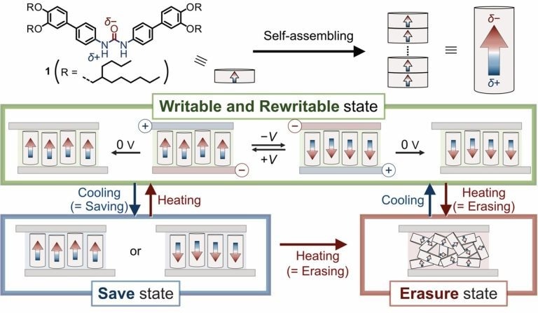 New Urea-Based Metal-Free System That Can Improve Data Storage in Devices