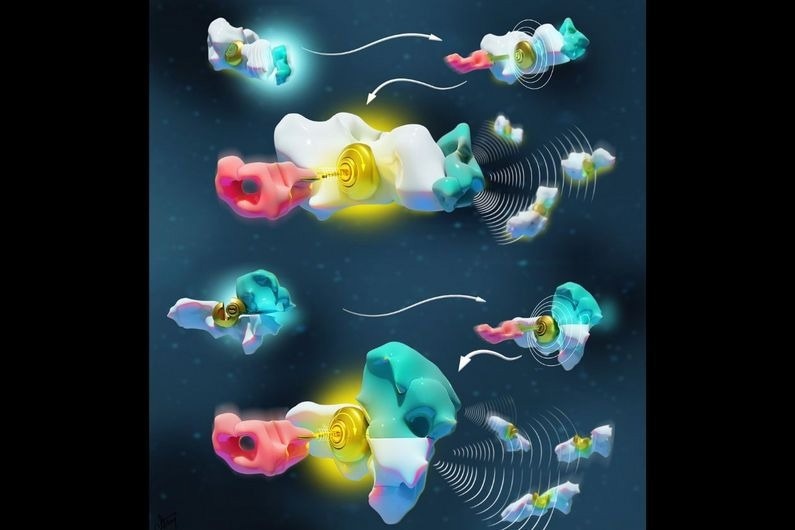 Recreating Molecular Languages for Nanotech Applications from Origins to Innovations