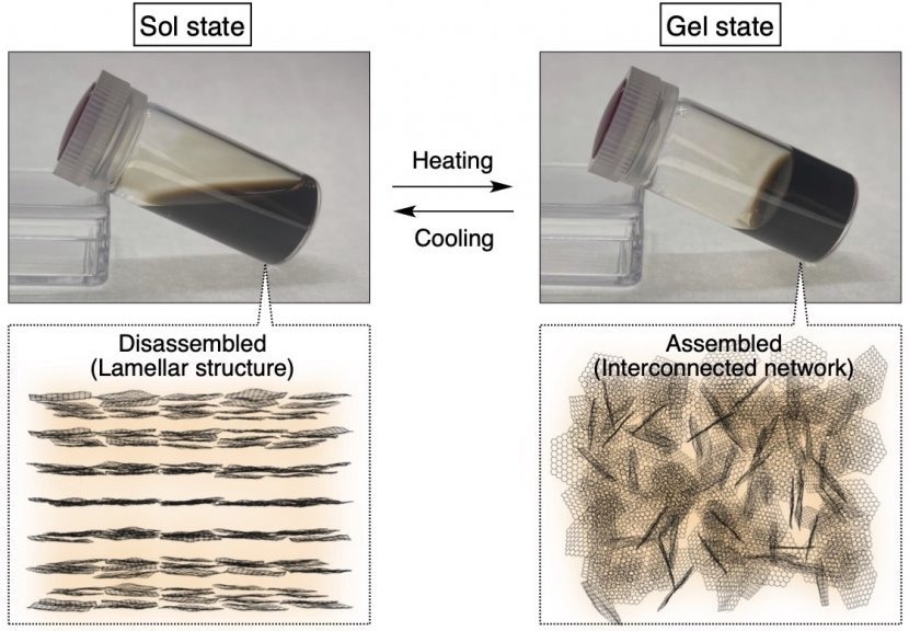 Breakthrough in Smart Material Design with Countercation Engineered GO Nanosheets