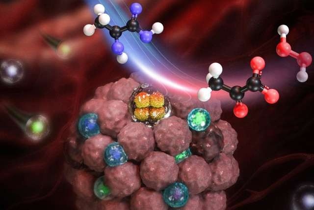 Nanocapsule Helps Boost the Activity of Mice Immune Cells