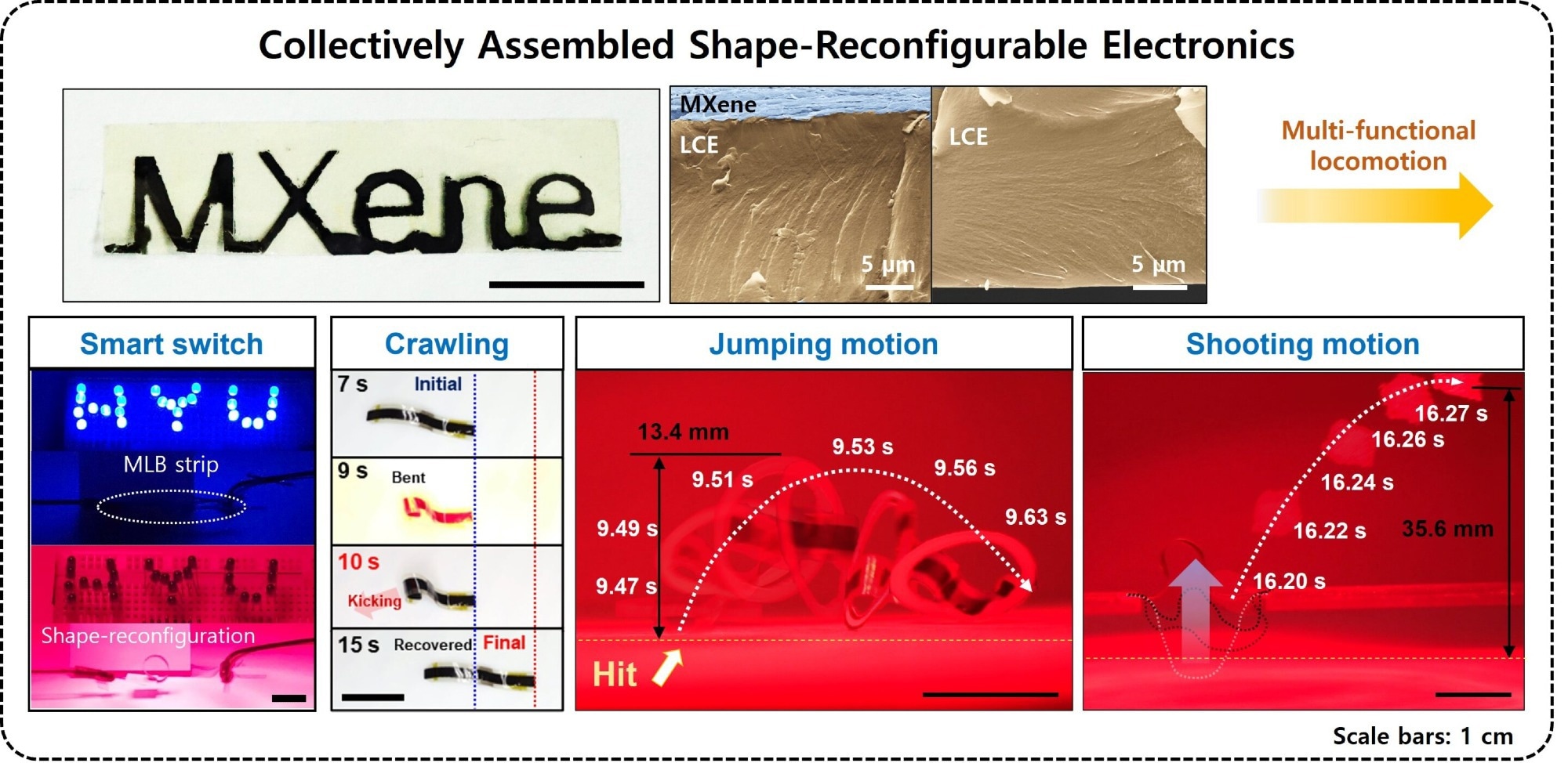Multi-Functional Locomotion of Shape-Reconfigurable Electronics