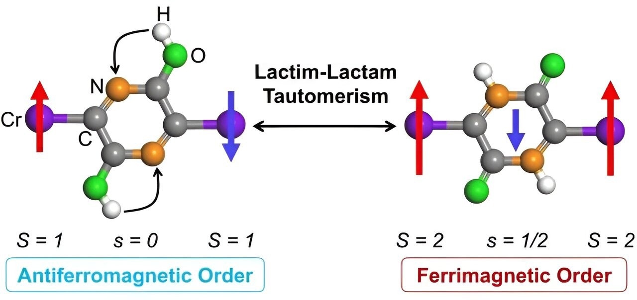 A Remarkable Chemical Process for 2D Metal-Organic Lattices