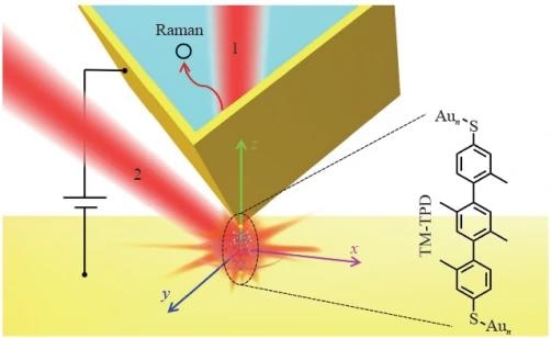 The Influence of Near-Field Optical Angular Momentum on Molecular Junctions