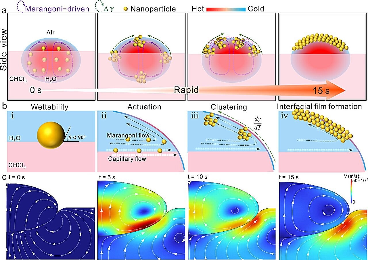 Three-Phase Catassembly to Enhance SERS Sensing