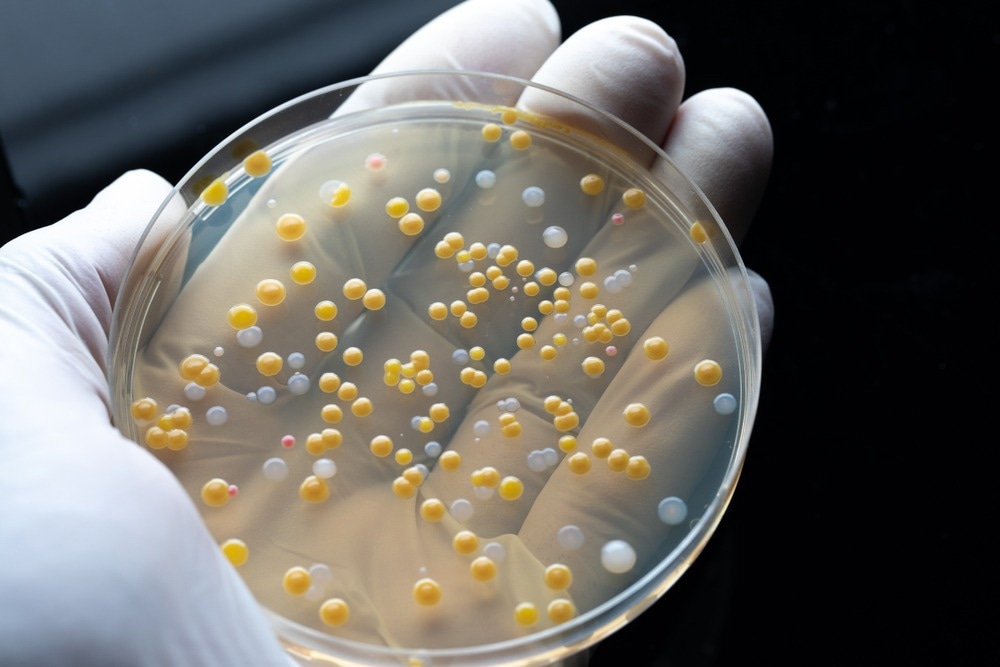 Biologist showing the results of his research against the drug resistance in a microbiological lab