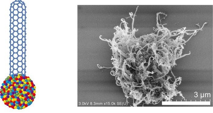 Utilizing HEA Nanoparticles as Catalysts for Single-Walled Carbon Nanotubes
