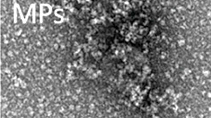Self-Assembling Protein Micromaterials Deliver Targeted Therapy for Cancer