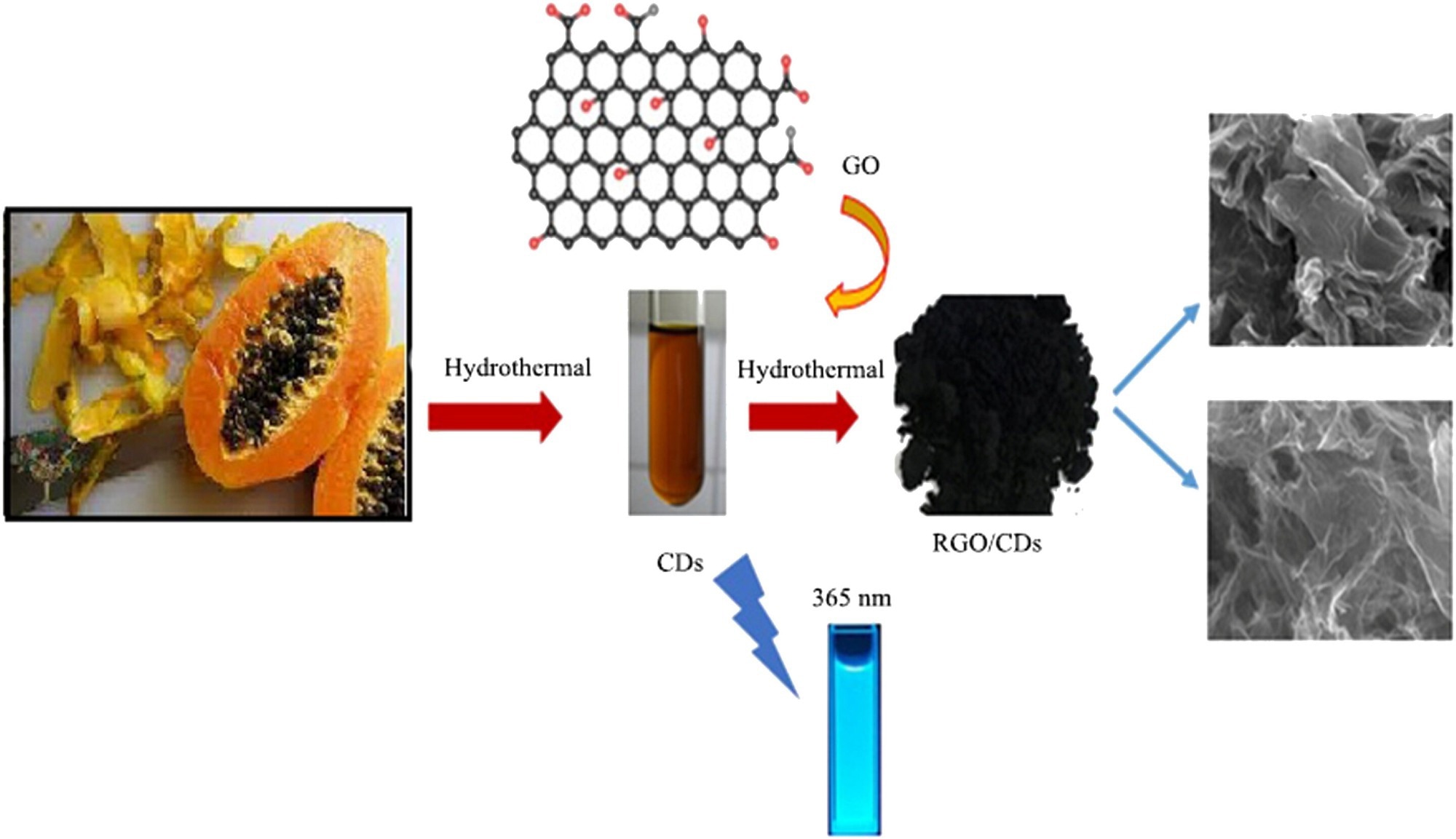 Papaya Peel Waste Offers Eco-Friendly Photocatalyst Solution