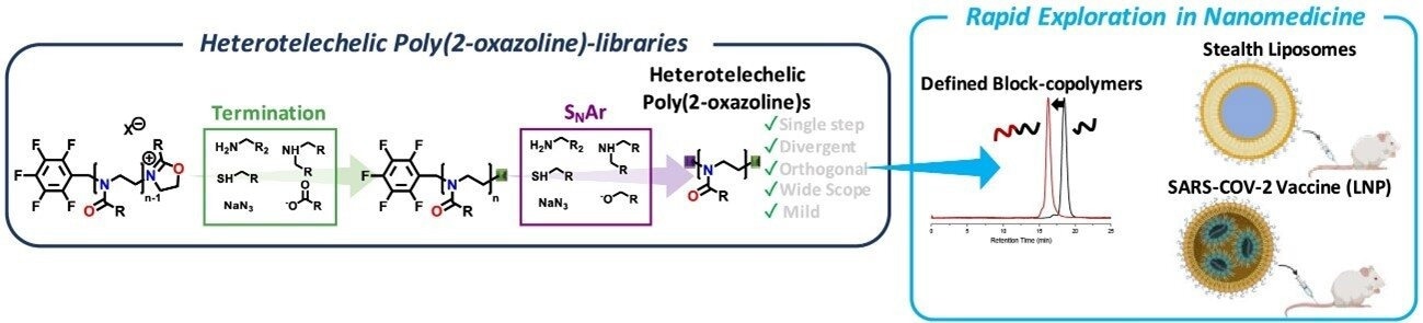 New Method Streamlines Development of Poly(2-oxazoline) Nanomedicines