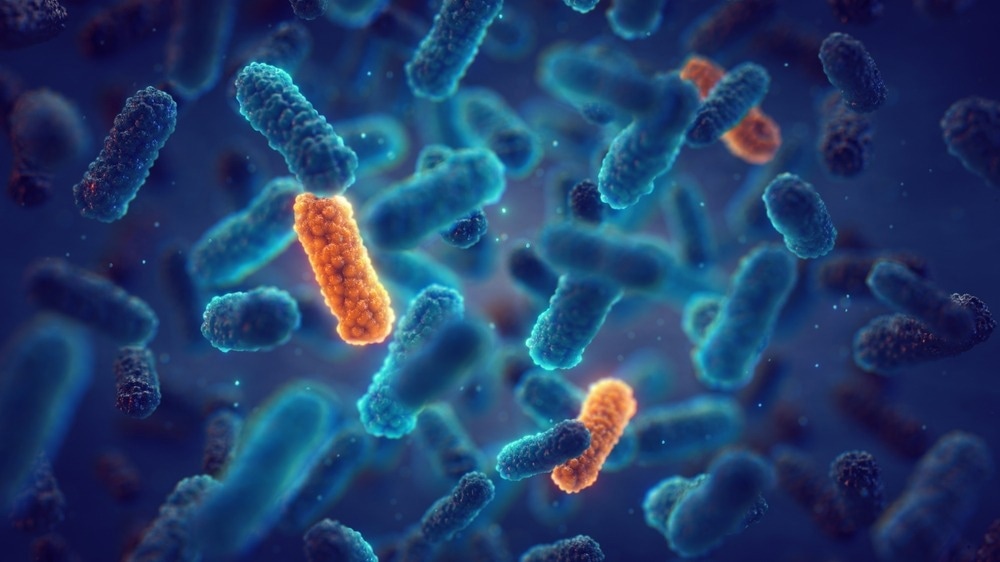 Nanotechnology: A Promising Solution for Antibiotic Resistance in Animal Health