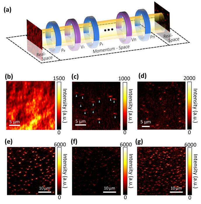 High Sensitivity Nano Imaging with Momentum-Space Polarization Filters