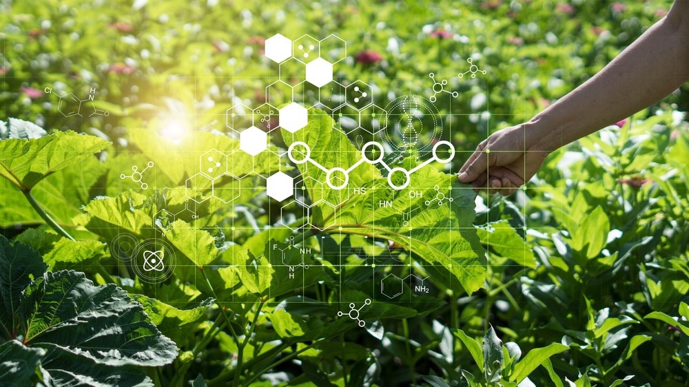 Sustainable Agriculture: Cyanobacteria and Nanoparticles Synergy