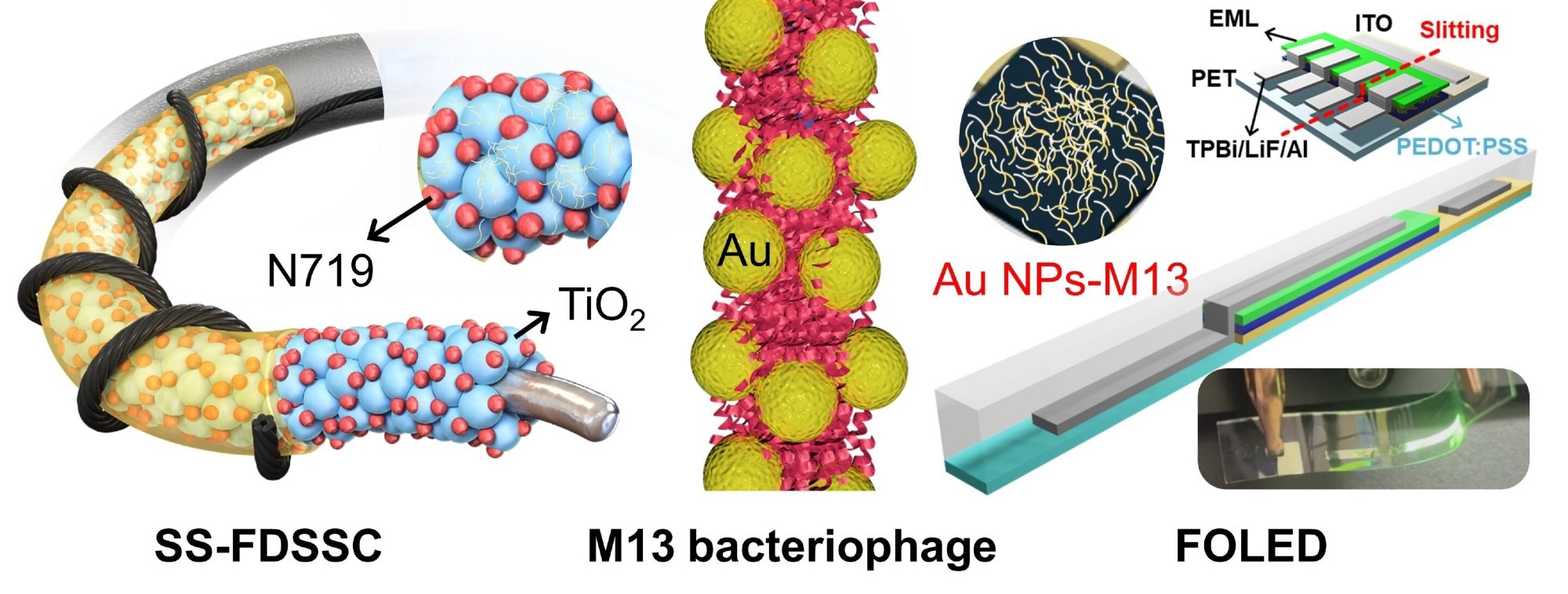 Electronic devices using hybrid bio-nanostructures