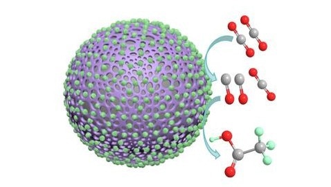 Polyaniline Catalyst Enables Efficient Acetate Production from CO2
