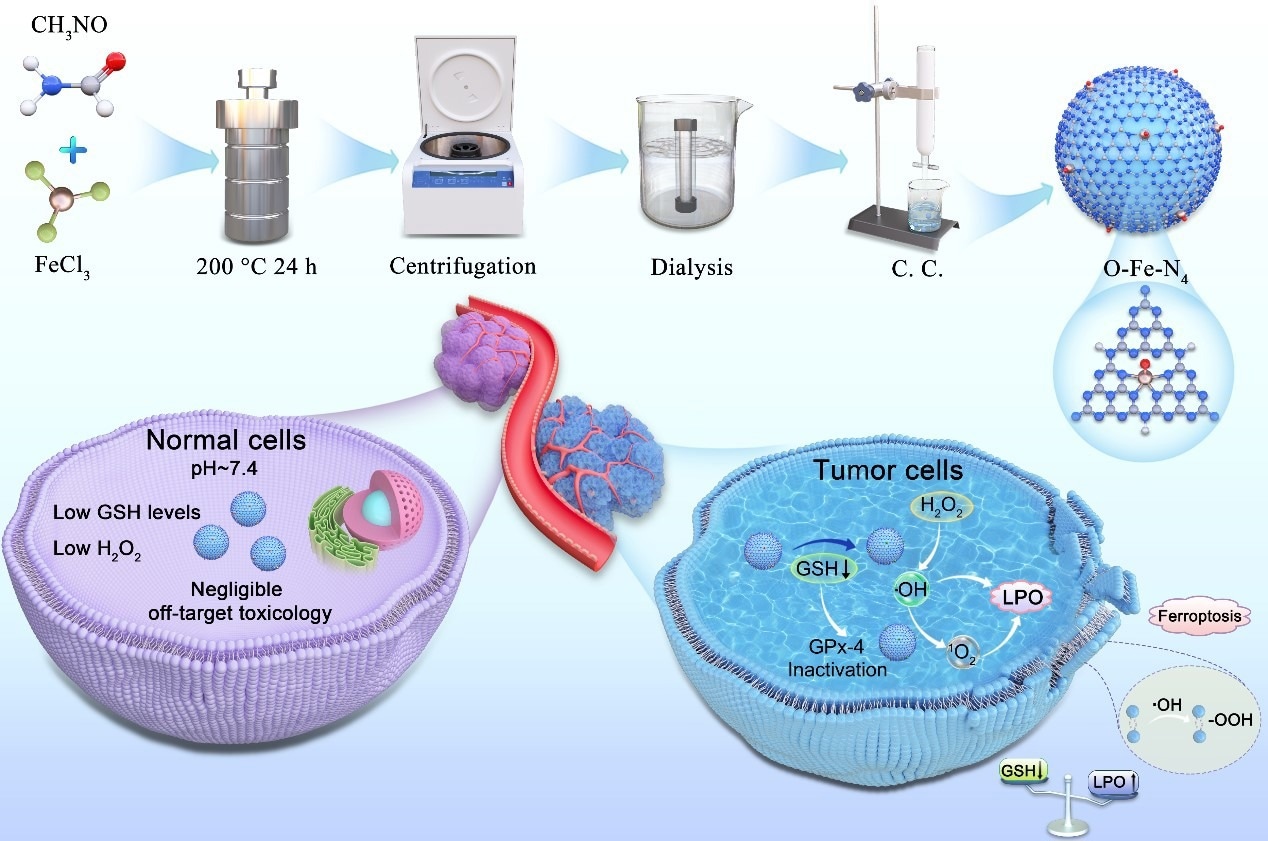Scientists Introduce Novel Single-Atom Nanozymes