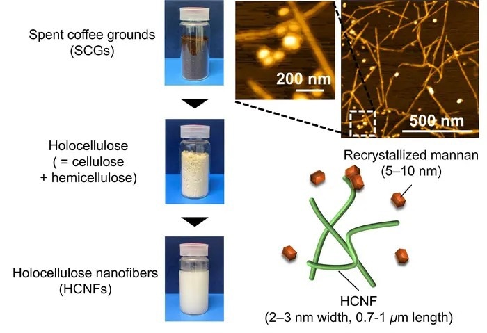 Turning Coffee Grounds into High-Value Holocellulose Nanofibers
