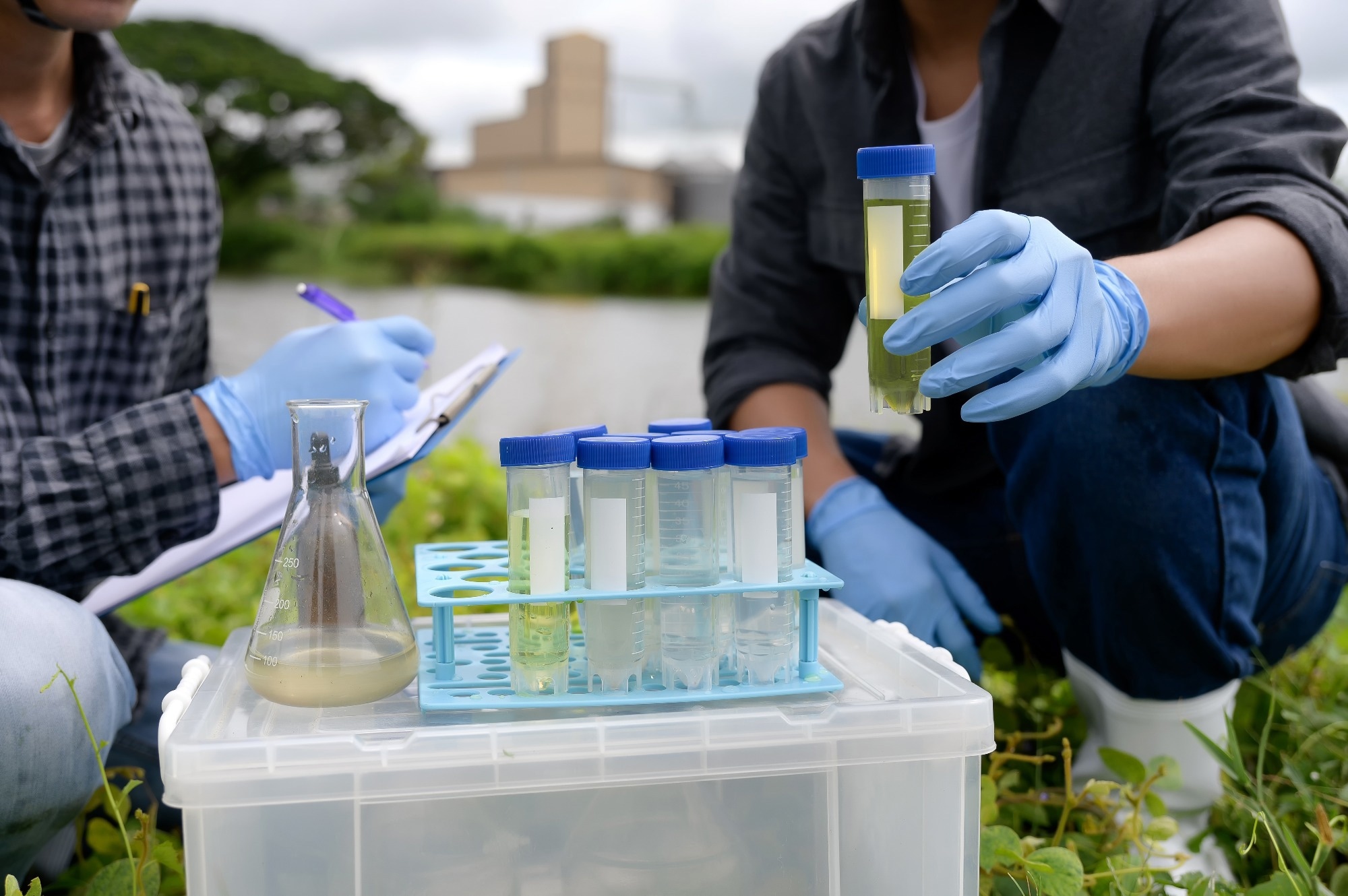 Rapid Detection of Food Additives in River Water Using a C18 Functionalized Nanocomposite