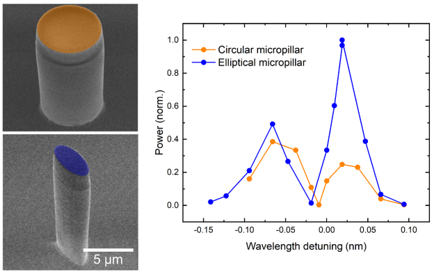 Harvesting Coherent Hypersound With Elliptical Micropillars