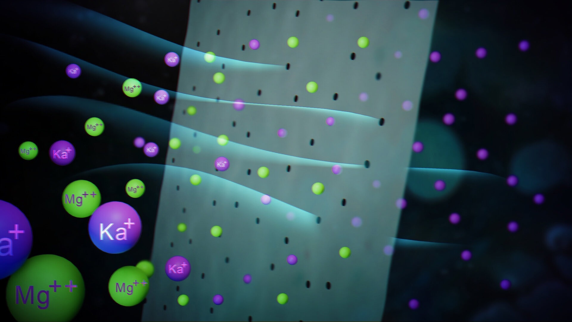 Nanometer-Scale Sieve Separates Ions with Precision
