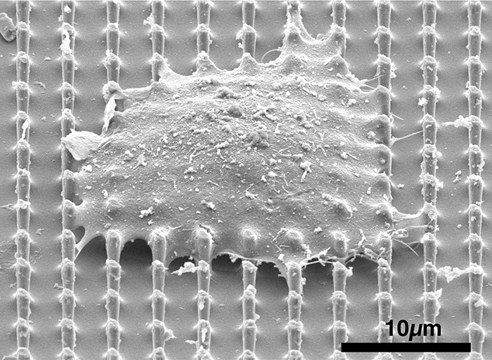 New Method for Precise Drug Delivery
