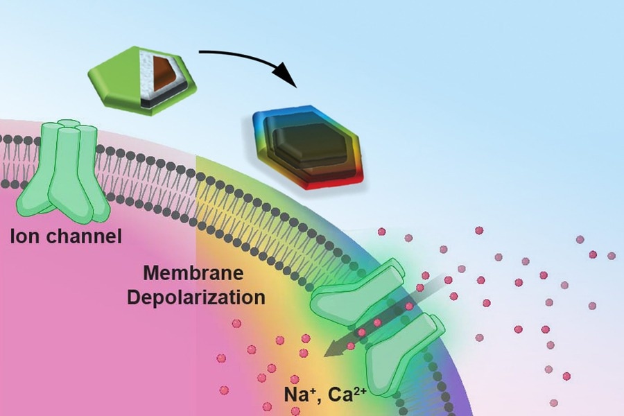 New Magnetic Nanodiscs for Non-Invasive Brain Stimulation