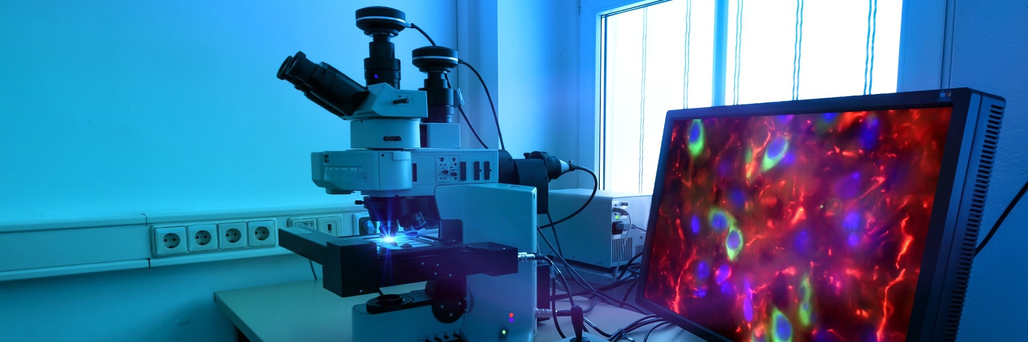 Enhancing Multiplexing in Fluorescence Microscopy with NanoPlex