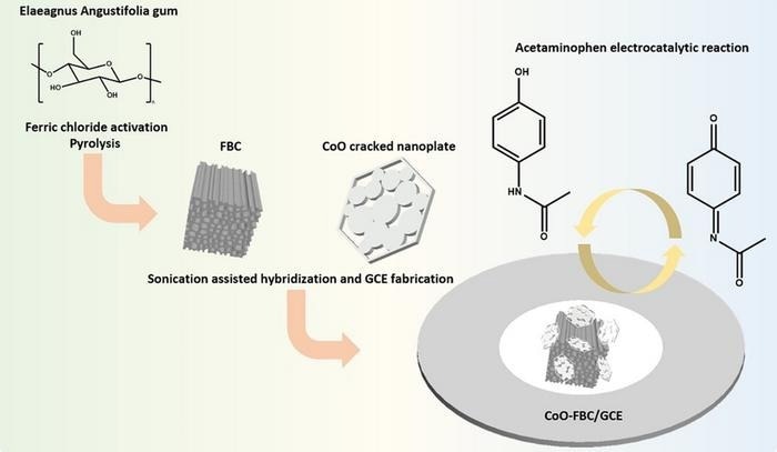 New Biomaterial for Electrochemical Applications