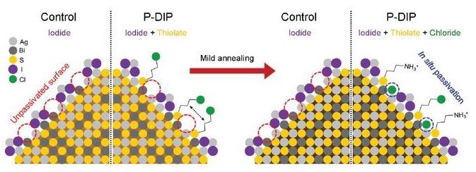 Schematic of the post-deposition in situ passivation strategy on the AgBiS2 nanocrystal.